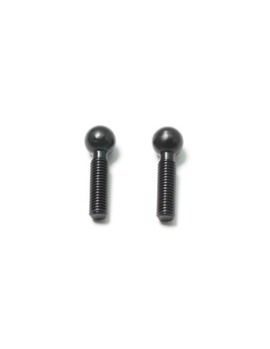 BALL SCREW LONG (2U)