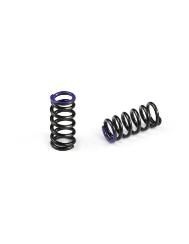 SPRING PURPLE C8.4 4X (2U)