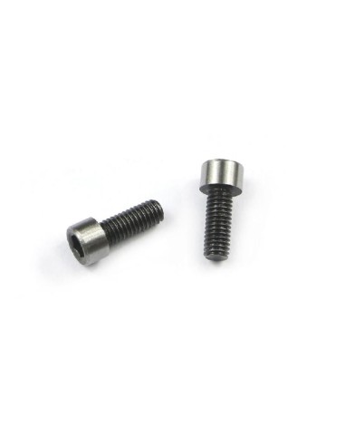 STEERING MOUNT SCREW 4X (2U)