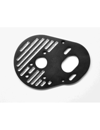 MOTOR PLATE SRX2 MM