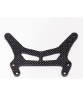 CARBON FRONT DAMPERPLATE GS WC