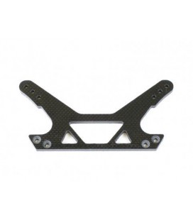 CARBON FRONT LONG DAMPERPLATE