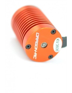 MOTOR BRUSHLESS DL10 10T-3600KV