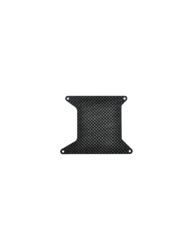 ESC PLATE 989E