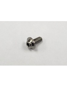 REVE D CUT TITANIUM MOTOR SCREW (2 pcs) 2