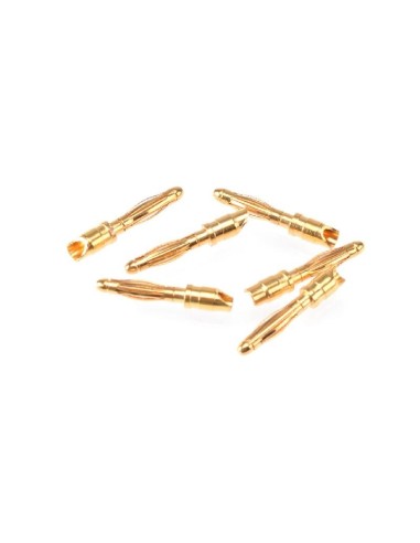 RUDDOG 2mm GLOD PLUG MALE (6 pcs)