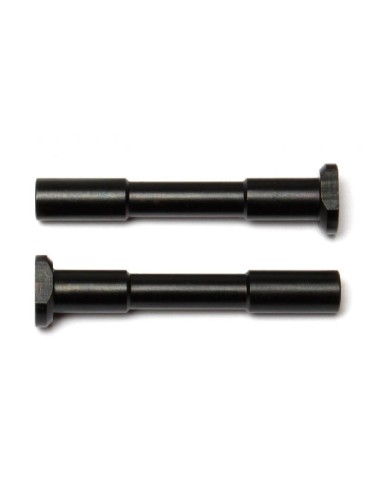 STEERING POSTS (2U)