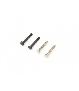 SHOCK HEX HEAD SCREW SET (L/R 2pcs each)