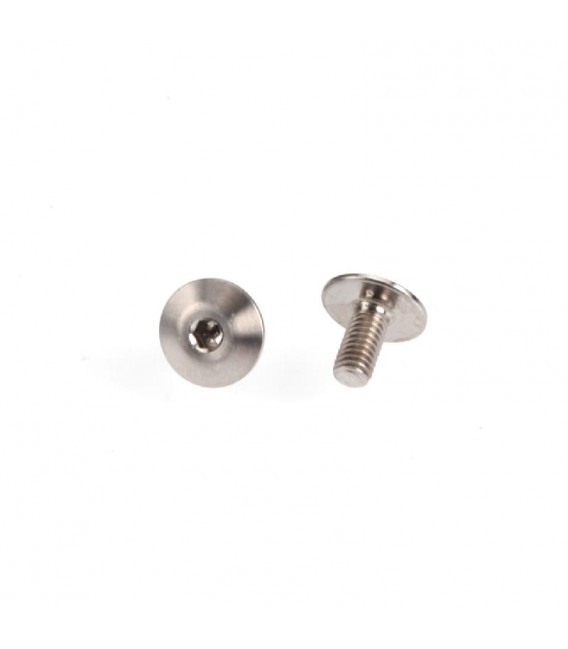 RDRP TITANIUM FRONT WING MOUNT SCREWS