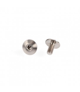 RDRP TITANIUM FRONT WING MOUNT SCREWS