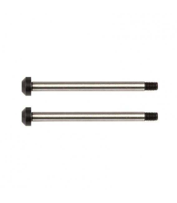TEAM ASSOCIATED REAR HUB HINGE PINS