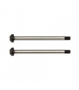 TEAM ASSOCIATED REAR HUB HINGE PINS