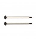 TEAM ASSOCIATED REAR HUB HINGE PINS