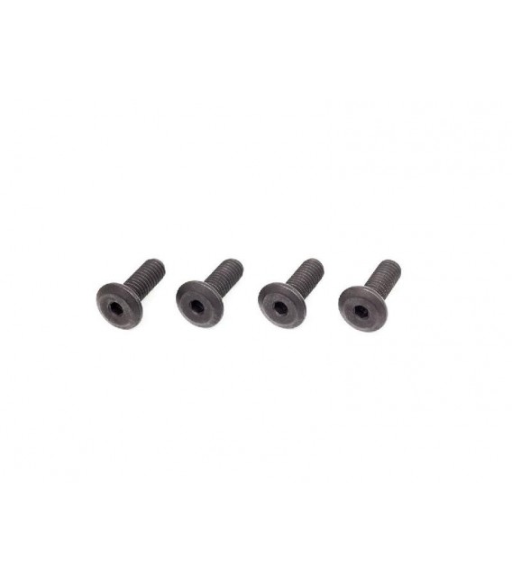 M3x8mm SLIM HEAD SCREW (4 pcs)