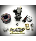 IELASITUNED TERRA EVO 2026 BUGGY ENGINE